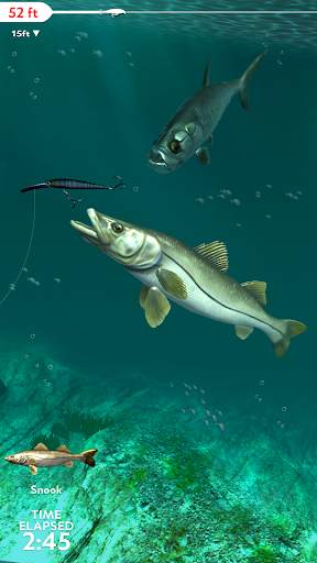 Rapala Fishing - Daily Catch screenshot 6
