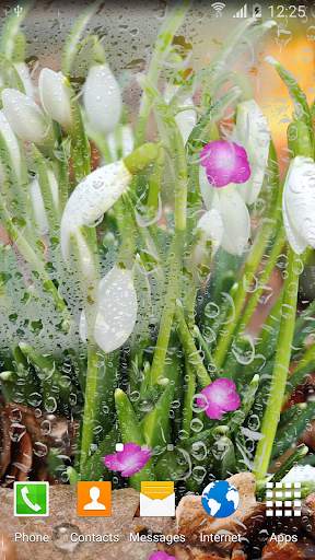 Spring Flower Live Wallpaper screenshot 5