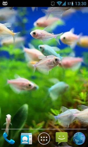 Magic Touch : Fish Pond screenshot 2