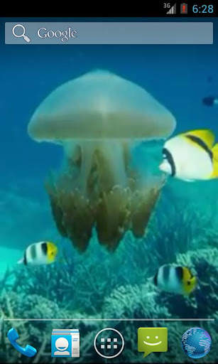 Jellyfish Video Live Wallpaper screenshot 2