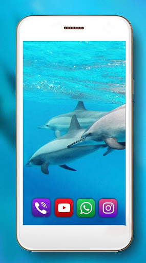 Dolphins Sounds Live Wallpaper screenshot 5
