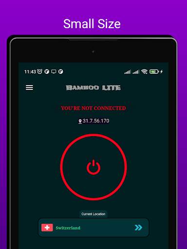 Bamboo VPN Lite screenshot 5