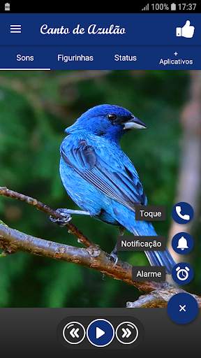 Song of Azulão screenshot 1