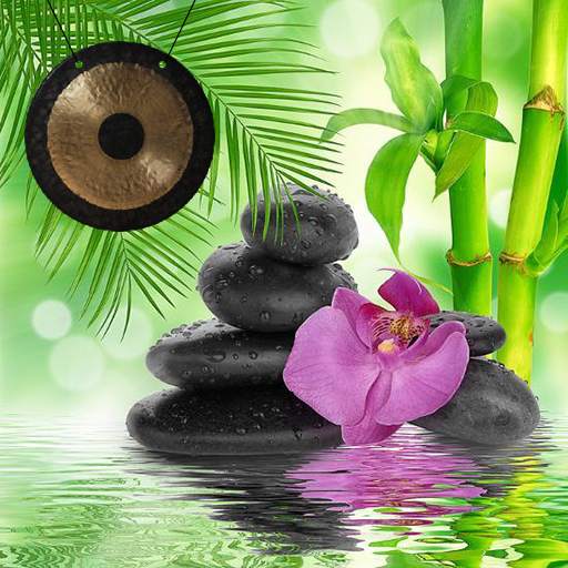 Relaxing Water Sounds: Meditation Gong 3.0