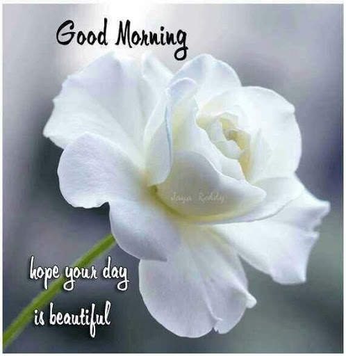 Good Morning  for whatsapp 2021 screenshot 6