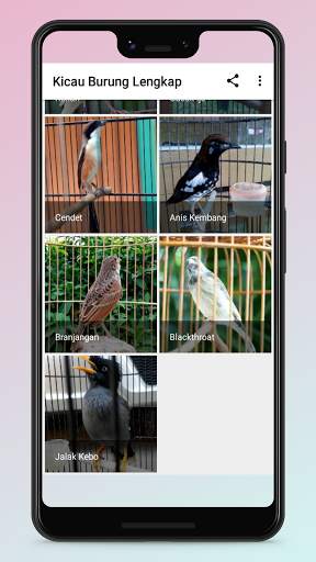 Kicau Burung Terlengkap screenshot 4