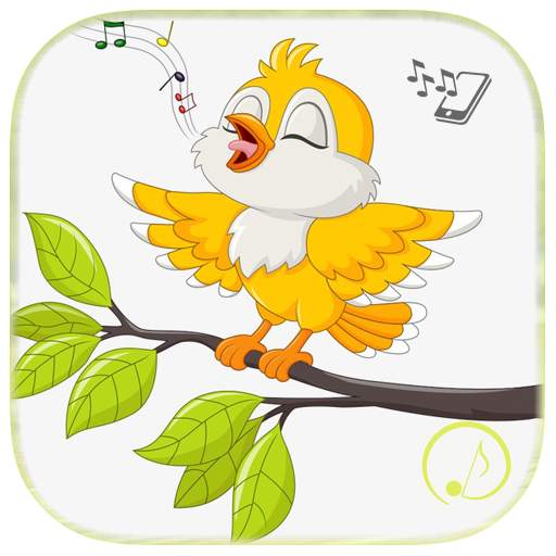 Birds Ringtones 1.0