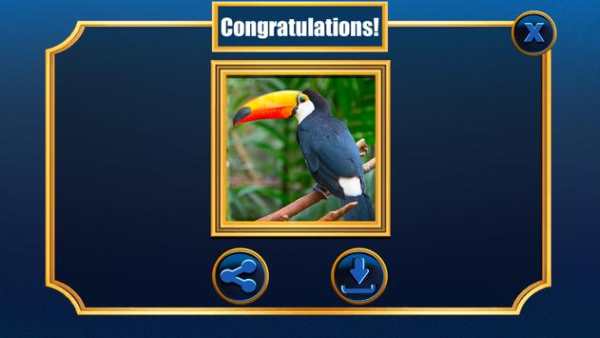 Jigsaw Puzzles Birds Games screenshot 6