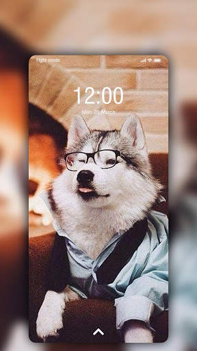 Husky Wallpaper screenshot 3