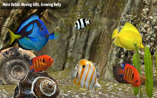 MyReef 3D Aquarium screenshot 4