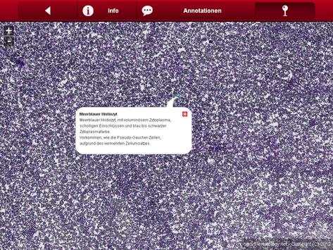 Smart Hematology Lite screenshot 7