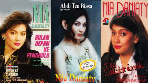 Kumpulan Lagu NIA DANIATI Offline Full Album screenshot 1
