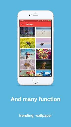 Bird finder: bird identification, bird wallpaper screenshot 5