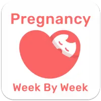 Pregnancy Week By Week Guide