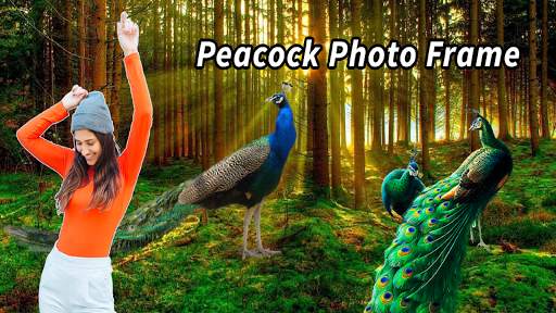 Peacock Photo Frames screenshot 2