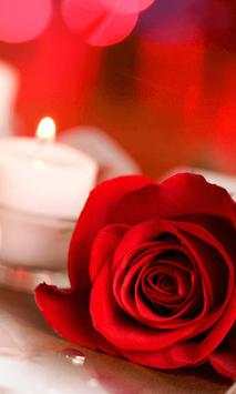 Rose Love HD Wallpaper screenshot 5