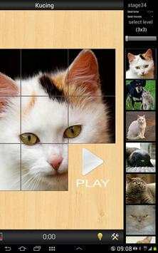 Best Cats game screenshot 4