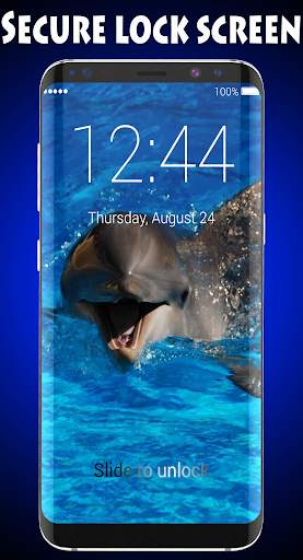Dolphins Wallpapers & Lock screenshot 1