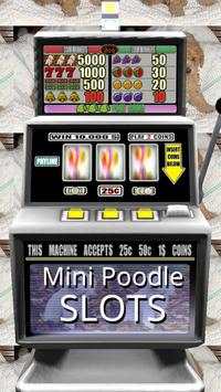 3D Mini Poodle Slots - Free स्क्रीनशॉट 1