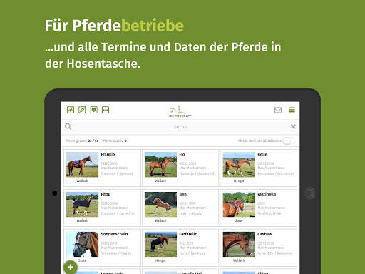 Die Pferde App screenshot 14