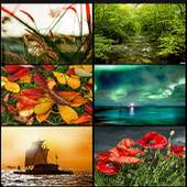 HD wallpaper download 1.0