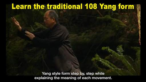 Yang Tai Chi Beginners Part 1 screenshot 10
