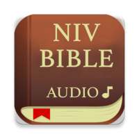 Bible Audio, NIV icon