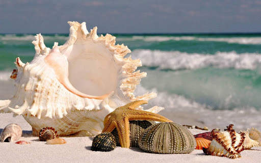 Summer Beach Wallpaper screenshot 4
