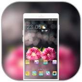 Flower theme for water beauty rose wallpaper 2.0.1