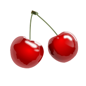Shiraz icon