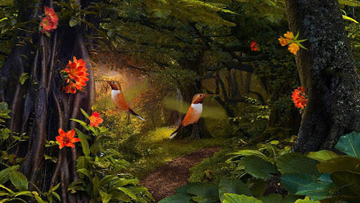 Hummingbirds 3D Live Wallpaper screenshot 5
