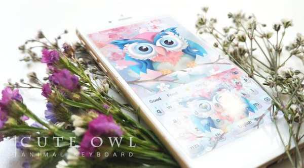 Cute owl animal keyboard screenshot 1