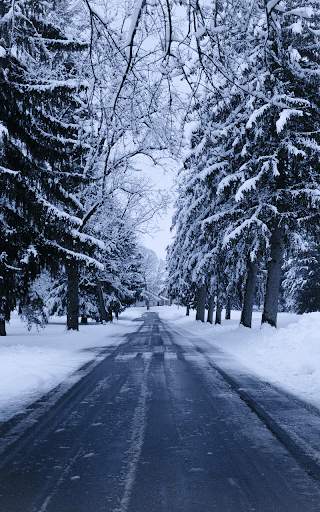 Snow Live Wallpaper HD screenshot 5
