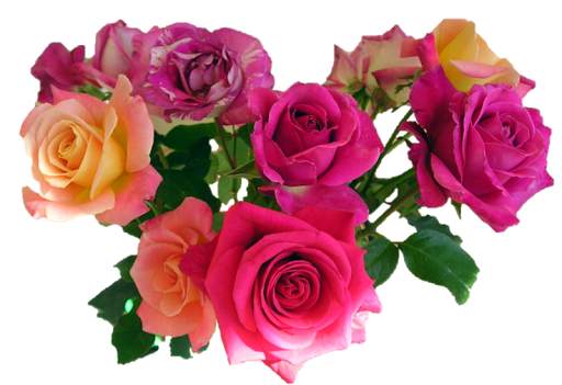 Wonderful Flowers Roses images Gif screenshot 2