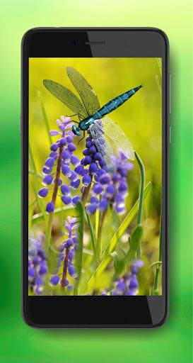Summer Time Live Wallpaper screenshot 6
