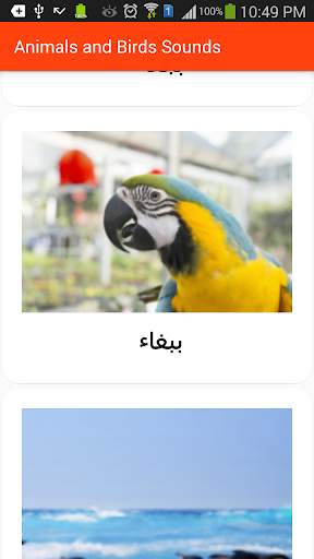 Animals and Birds Sounds screenshot 8