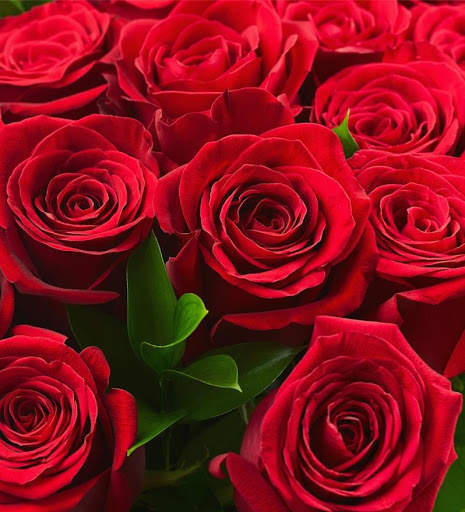 Rose Wallpapers screenshot 6