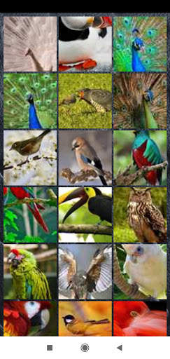 Bird Wallpaper Full HD screenshot 1