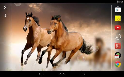 Horses Live Wallpaper screenshot 4