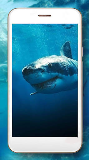 Sharks Live Wallpaper screenshot 5