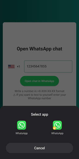 Open WhatsApp chat without saving number screenshot 2