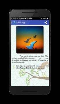 Sparrow Birds स्क्रीनशॉट 4