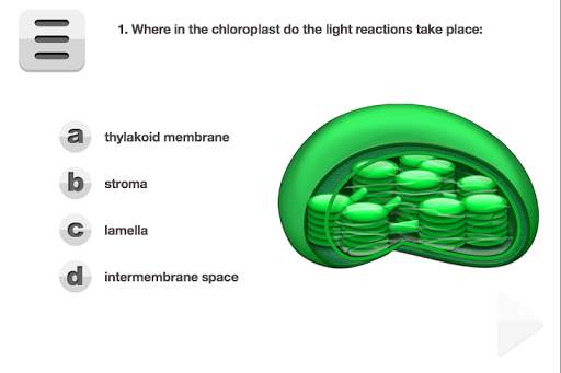 Biology Photosynthesis screenshot 5