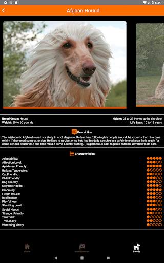 Dogipedia - Dog breed selector and list of breeds screenshot 13
