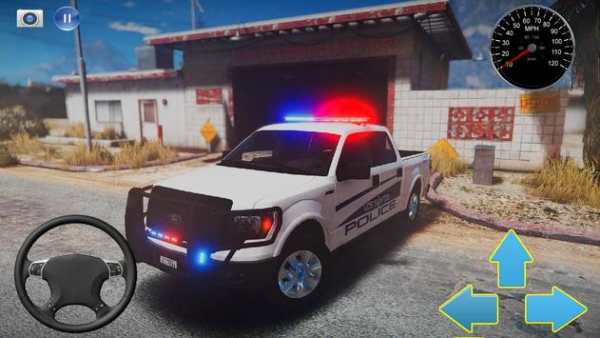 SUV Driving Ford F150 Police screenshot 1