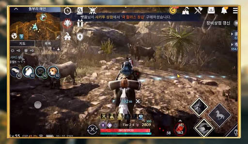 tips Black Desert mobile screenshot 2