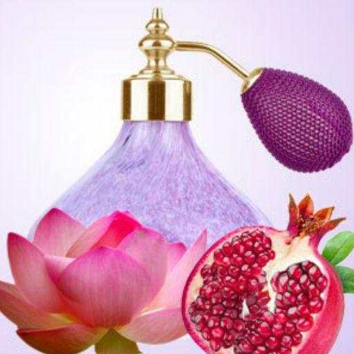 HOW TO MAKE PERFUME OILS & PERFUMES 2019 screenshot 3