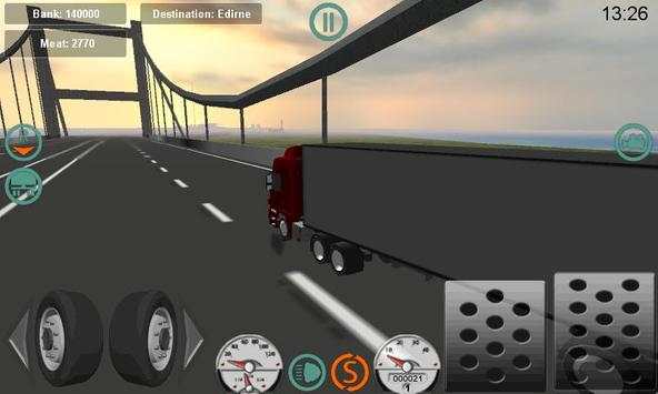 Real Trucker LM 3D screenshot 7