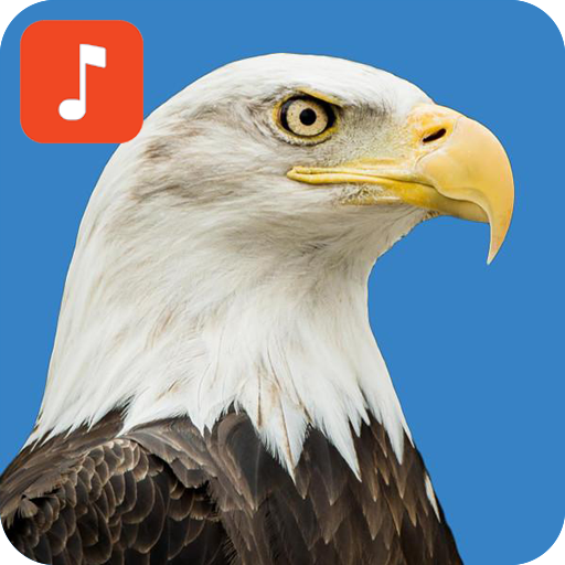 Eagle Bird Sound Effects icon