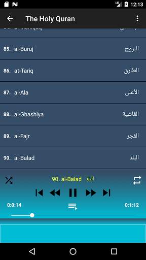 Yasser Al Dosari full Quran MP3 & read offline screenshot 3